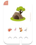 WiemTo, Gdzie Mieszkają Zwierzęta, karty edukacyjne, 4+