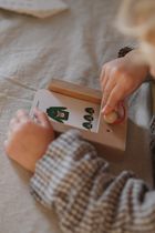 WiemTo, Zestaw Startowy: pudeło + 6 kompletów kart edukacyjnych, 3-4 latka