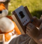 WiemTo, Zestaw Startowy: pudeło + 6 kompletów kart edukacyjnych, 4+