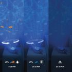 Zazu, Wydra Otto, projektor oceanu