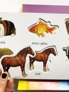 Zwierzęta. Akademia mądrego dziecka. Kolorowy świat malucha