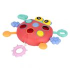 Bam Bam, zabawka sensoryczna, biedronka