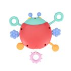 Bam Bam, zabawka sensoryczna, biedronka