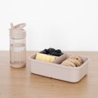 3 Sprouts, Bento, lunchbox, Taupe