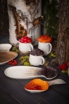 Altom Design, Pod kapeluszem, kubek ceramiczny w kształcie grzybka z pokrywką, czerwony, 370 ml