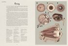 Anatomicum