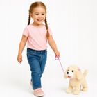 Artyk, Natalia, piesek chodzący na smyczy