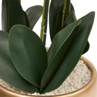 Atmosphera, Sanae, sztuczny storczyk w złotej doniczce, 65 cm