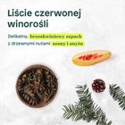 Attitude, odżywka do włosów farbowanych z olejkiem z awokado, 240 ml