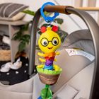 Baby Einstein, Cal-a-Puller, zabawka sensoryczna z zawieszką