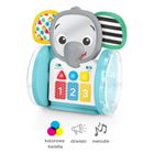 Baby Einstein, Chase & Tap, Słonik Earl, muzyczna zabawka interaktywna