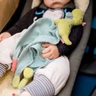 BabyFehn, Wesoły Dinozaur, pierwsza przytulanka