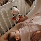 BabyOno, Cow Bingo, pozytywka