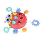 Bam Bam, zabawka sensoryczna, biedronka