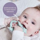 b.box, Lisek, gryzak na nadgarstek, blush