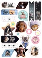 Beniamin, The Sweet Pets, naklejki ozdobne