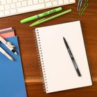 Bic, Evolution Original, ołówek HB z gumką, 10 szt.