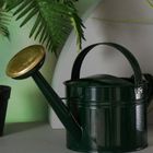 Boltze Garden, konewka miedziana do ogrodu, Gisela, ciemna zieleń, 5 l