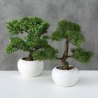 Boltze Home, Bonsai, sztuczna roślina doniczkowa, 33 cm