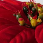 Boltze Home, sztuczna gwiazda betlejemska w doniczce, wys. 40 cm