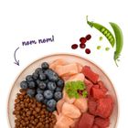 Bosch, Sanabelle, Adult, Struś, karma sucha dla kota, 2 kg