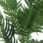 Botanical Decoration, Nova, sztuczna palma, 50-85 cm