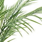 Botanical Decoration, Nova, sztuczna palma, 50-85 cm