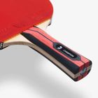 Butterfly, rakietka do tenisa stołowego, Team Champion