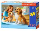 Castorland, Dogs at the Vet, puzzle, 120 elementów