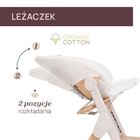 Chicco, Meraviglia, ewolucyjne krzesełko do karmienia, fossil