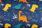 Chicco, Ohlala, wózek spacerowy, Dino Derby