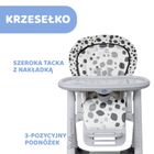 Chicco, Polly Progres5, krzesełko do karmienia 5w1, Anthracite