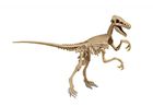 Clementoni, Naukowa Zabawa, Jurassic World, Velociraptor, szkielet, zestaw naukowy
