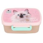 Cleo i Frank, lunchbox, Kot