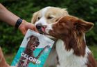 Contipro, Geloren Large Dog, suplement dla psa, 420g