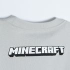 Cool Club, Bluzka chłopięca z długim rękawem, jasnoszara, Minecraft