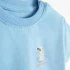 Cool Club, Komplet chłopięcy, T-shirt, Szorty, mix