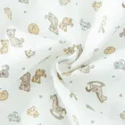 Cool Club, Pieluchy muślinowe chłopięce, 70-80cm, mix, zestaw, 2 szt.