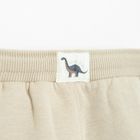 Cool Club, Spodnie dresowe chłopięce, ocieplane, beżowe