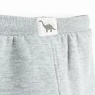 Cool Club, Spodnie dresowe chłopięce, szare