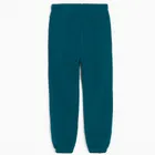 Cool Club, Spodnie dresowe chłopięce, turkusowe