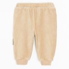 Cool Club, Spodnie dresowe chłopięce, welurowe, brązowe, Snoopy