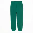 Cool Club, Spodnie dresowe chłopięce, zielone