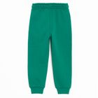 Cool Club, Spodnie dresowe chłopięce, zielone, Psi Patrol