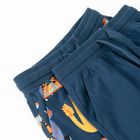 Cool Club, Szorty chłopięce, niebieskie, zestaw, 2 szt.