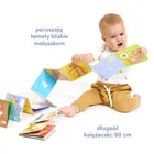 CzuCzu, Biblioteczka odkrywcy, zestaw edukacyjny