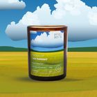 EkoDetale, Mood Stories, świeca sojowa w szkle, Memory of Last Summer, 190g