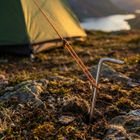 Enero Camp, śledzie do namiotu, 18 cm, 6 szt.