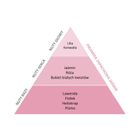 Essentia Nature, perfumy do prania, Jaśmin, 250 ml