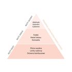 Essentia Nature, perfumy do prania, Kwiat Lotosu, 250 ml